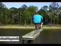 Курьезы на дорогах