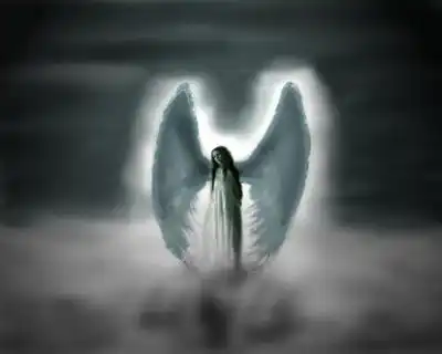 обрывки...мысли...