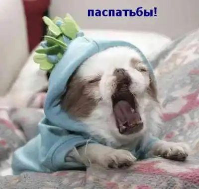 Прикольные картинки на среду