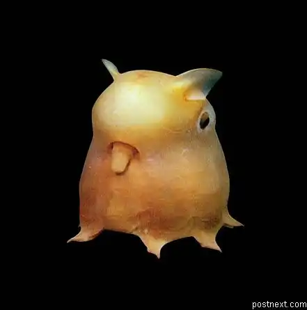 Фотоподборка (40 фото)