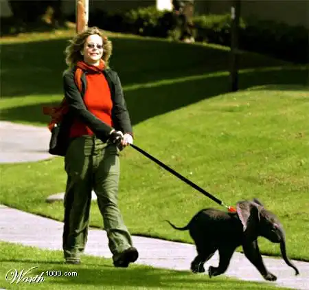 Знаменитости после фотошопа