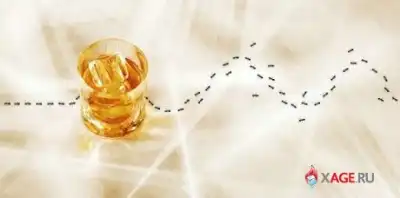 Креативные фотографии.