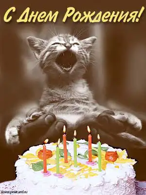 С Днем Рождения Бондяра :)