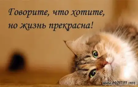 Йа позетивнойе картинко! №3