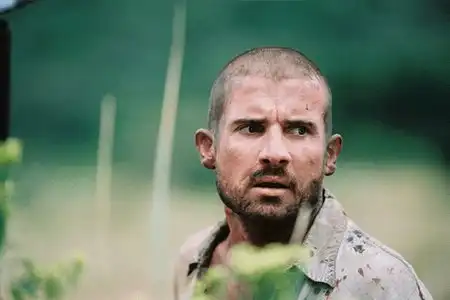 Доминик Пёрсел