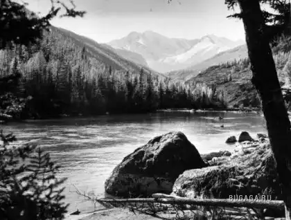 Черно-белый позитифф