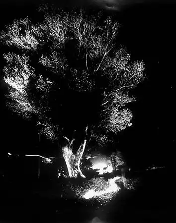 Ч/Б подборка