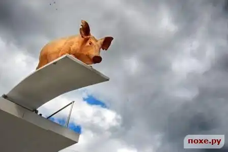 Прикольна...)