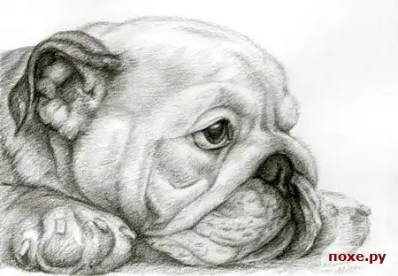 Работы карандашом.