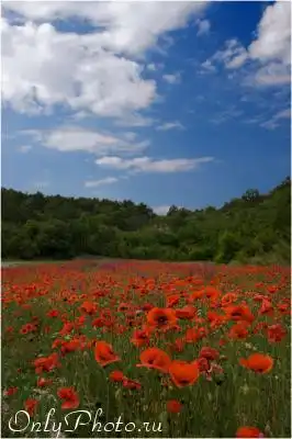 Пейзажиииии......