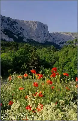 Пейзажиииии......