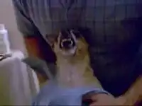 Так вот ты какой