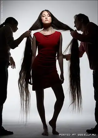 Факты о ваших волосах.