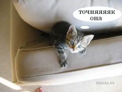 С пятницей Вас друзья