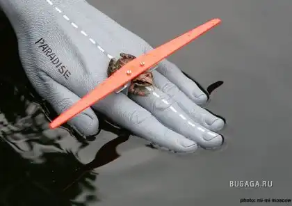 Летающие лягушки