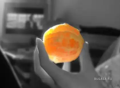 Капильки цвета...)