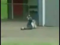 конкретно упал