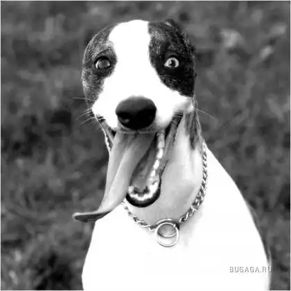 весёленько