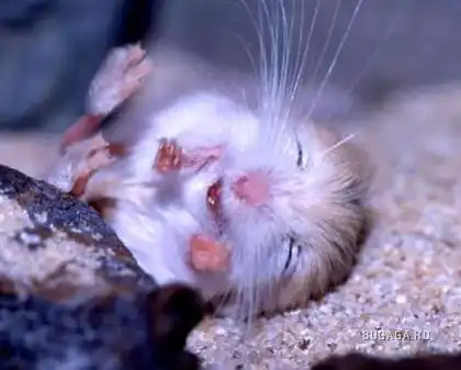 весёленько