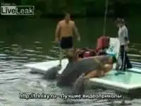 половой гигант