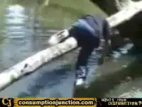 Поскользнулся на бревне