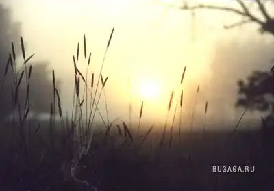 Первые лучи солнца