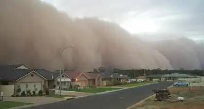 Ужасы природы.