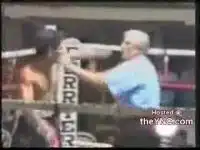 Чел нокаутировал рефери