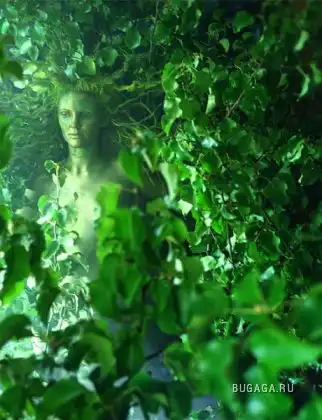 В гостях у сказки