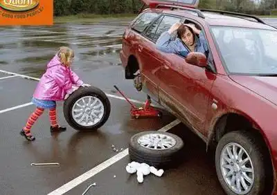 Фото приколы дня