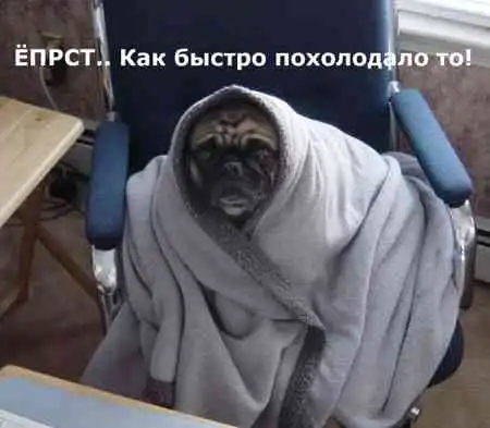 Веселые картинки