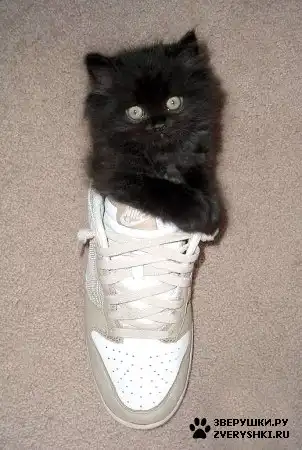 Немного позитива =)