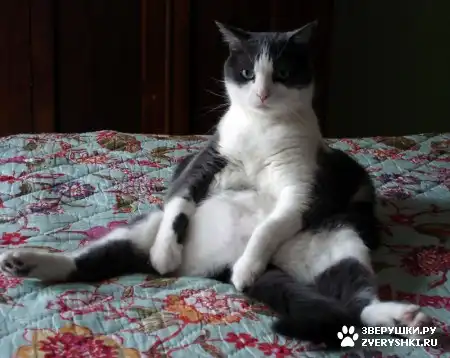 Немного позитива =)