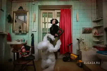 Day on the cotton candy...