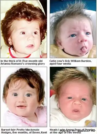 Рыжий стиляга