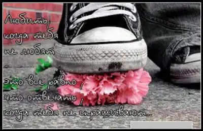 Картинки со словами