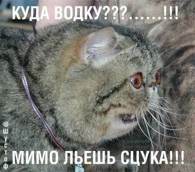 Забавная подборочка!!!!