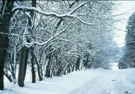 Последний грустный рассказик