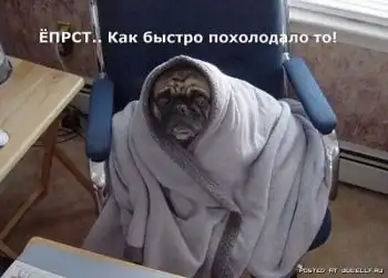 Подборочка!!!