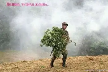 Подборочка!!!