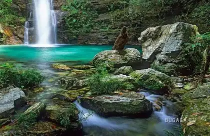 В Бразилии всегда тепло и красиво...