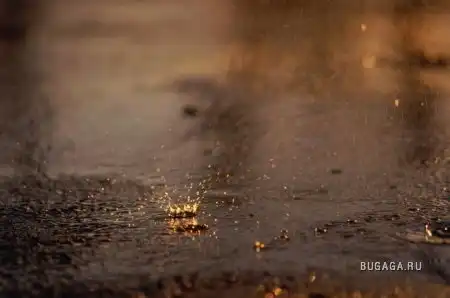 Протяни руку дождю...