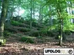 Не вытаптывайте "СТРАШНЫЕ МЕСТА" !