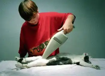 МалЁха поцтоловых рассказов =)