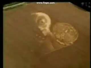 Сообщение землянам.