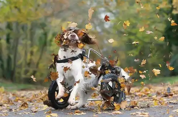 На пенсии жизнь только начинается