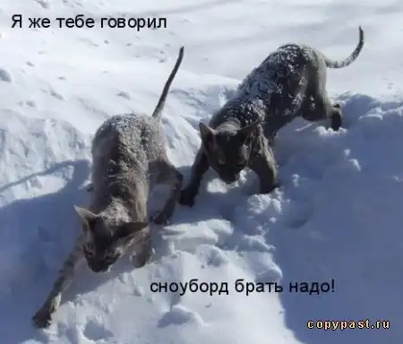 Превед Зима!