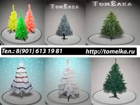 Елки Томска от компании “ТомЕлка”