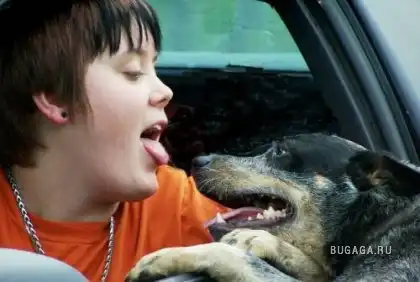 дружба это...