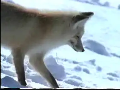 Мини- ролики. (6 в 1)